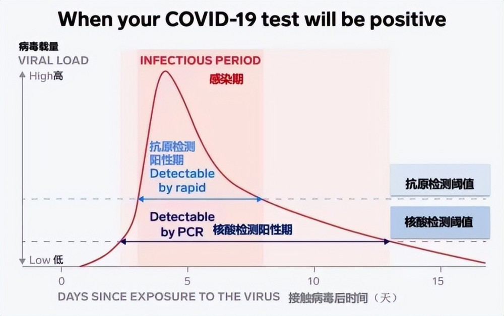 新冠陽了后，抗原需要天天做嗎？一看你就明白